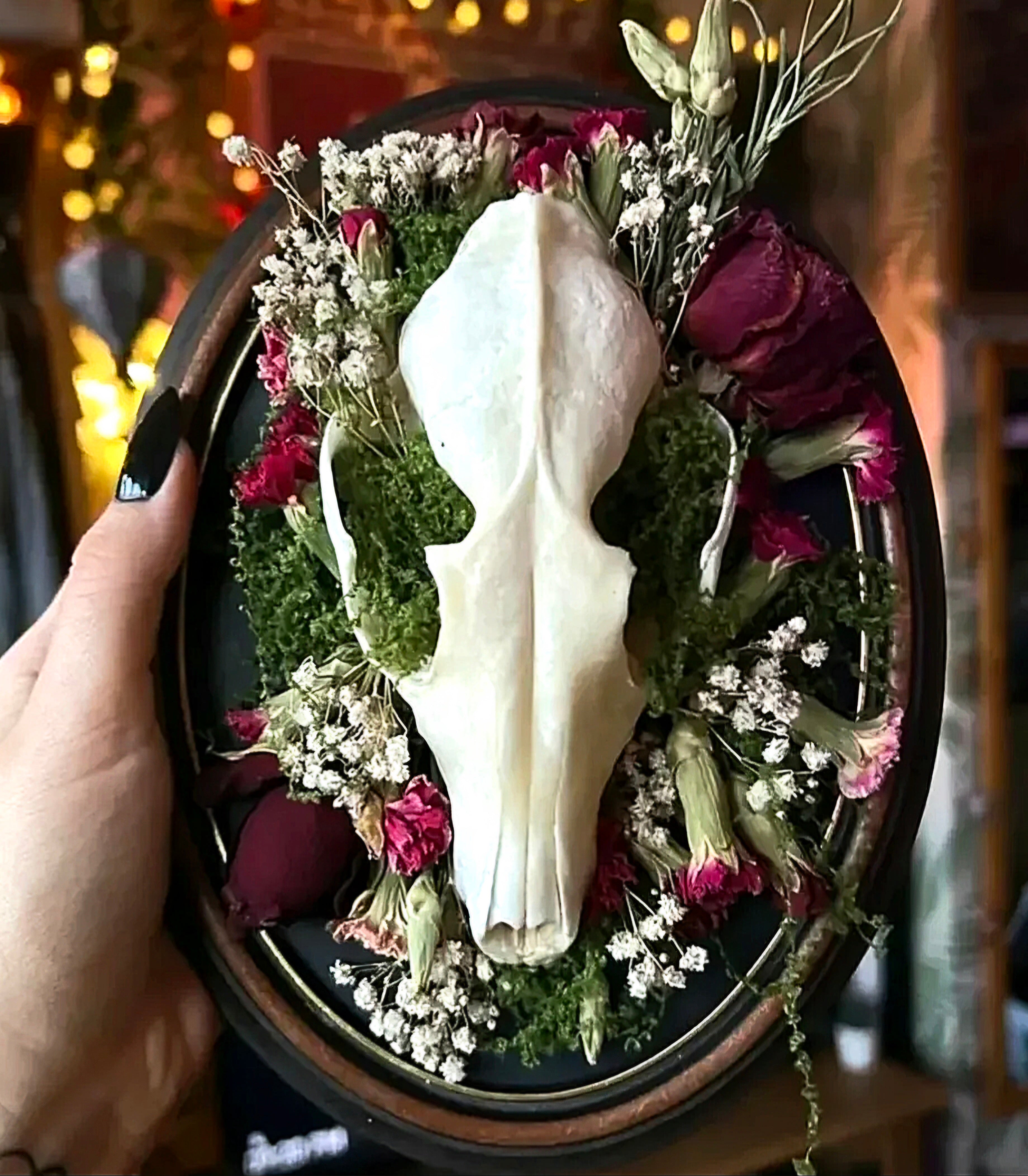 Framed Pieces