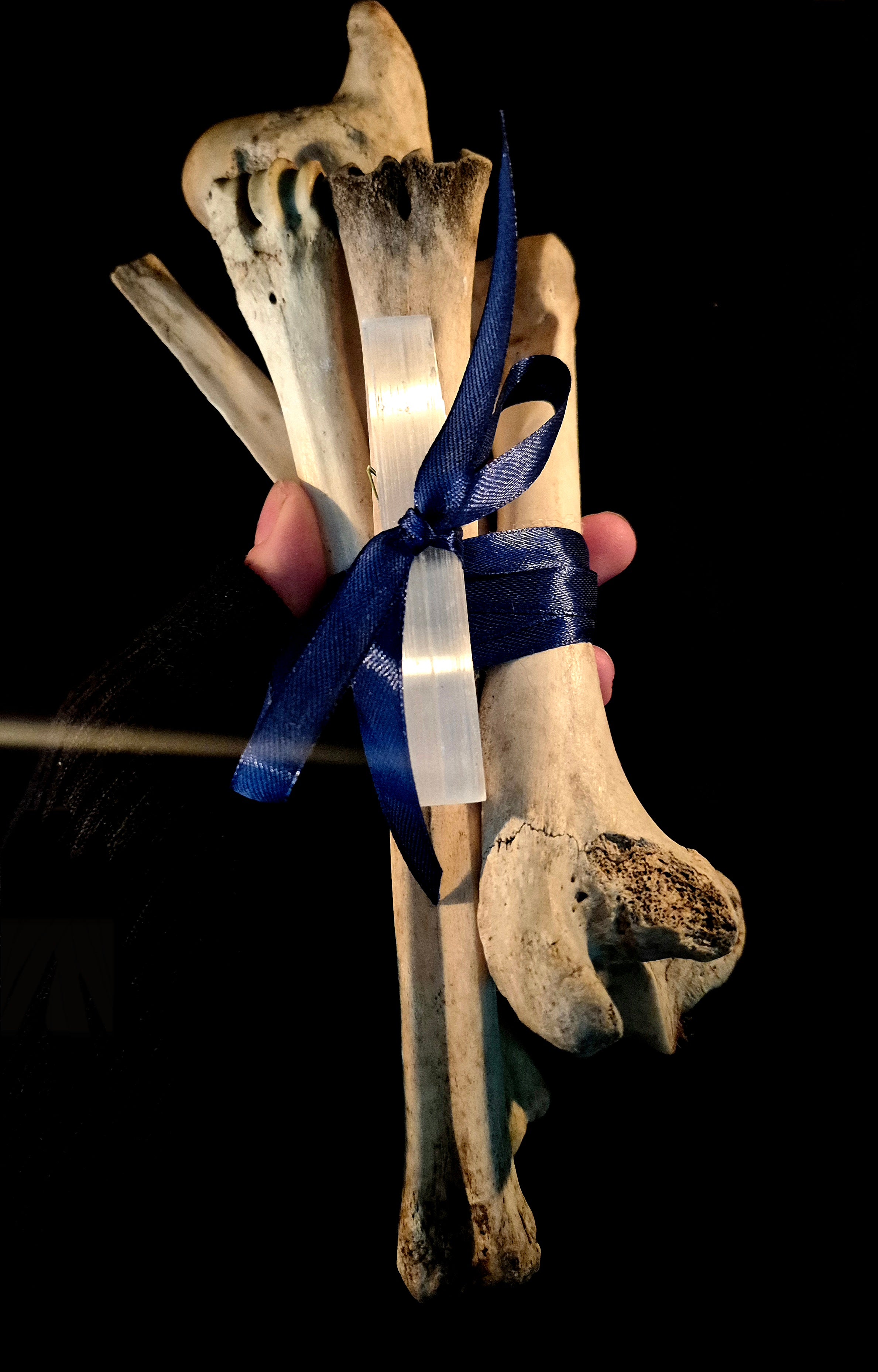 MAGIA OSSIUM - Large Osteomancy Bone Bundles, Divination Tools for Bone Throwing