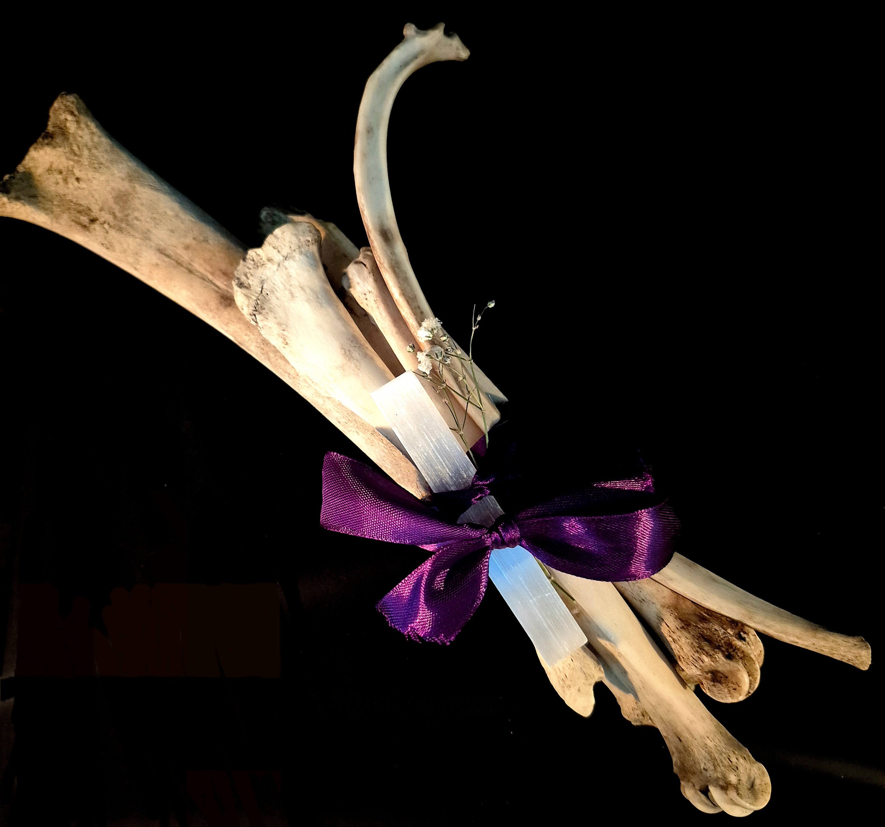 MAGIA OSSIUM - Large Osteomancy Bone Bundles, Divination Tools for Bone Throwing