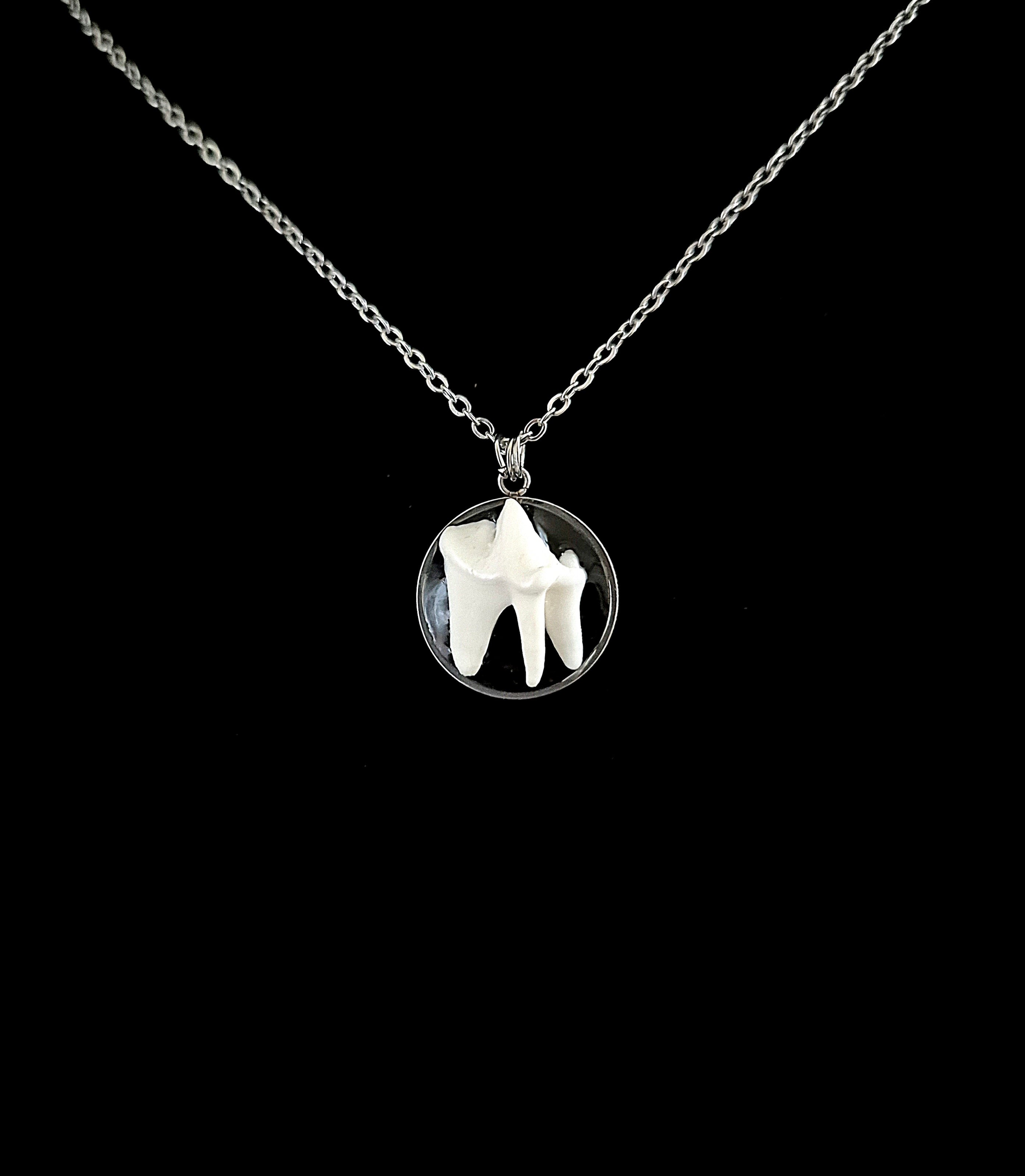VULPIS - Fox Tooth Necklace