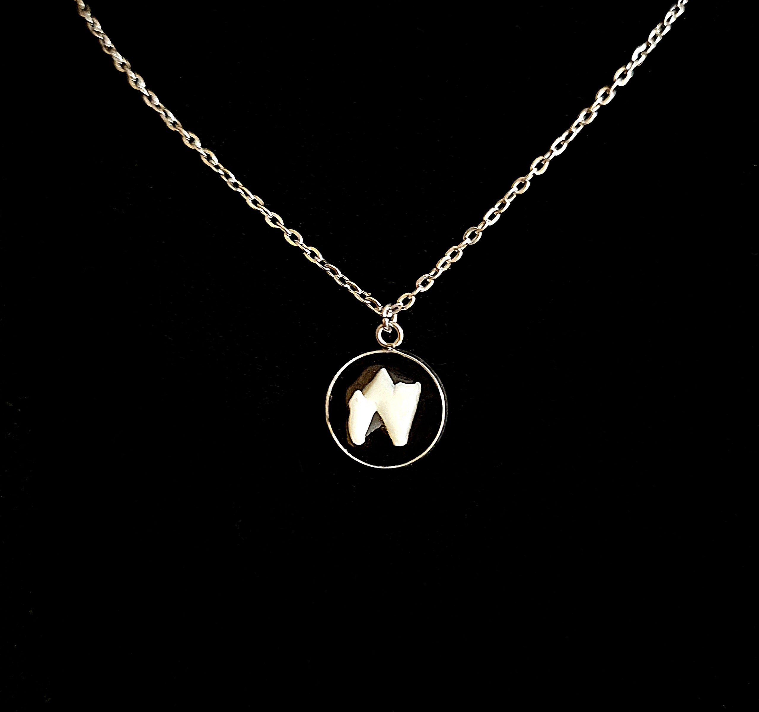 CATTUS - Cat Tooth Necklace