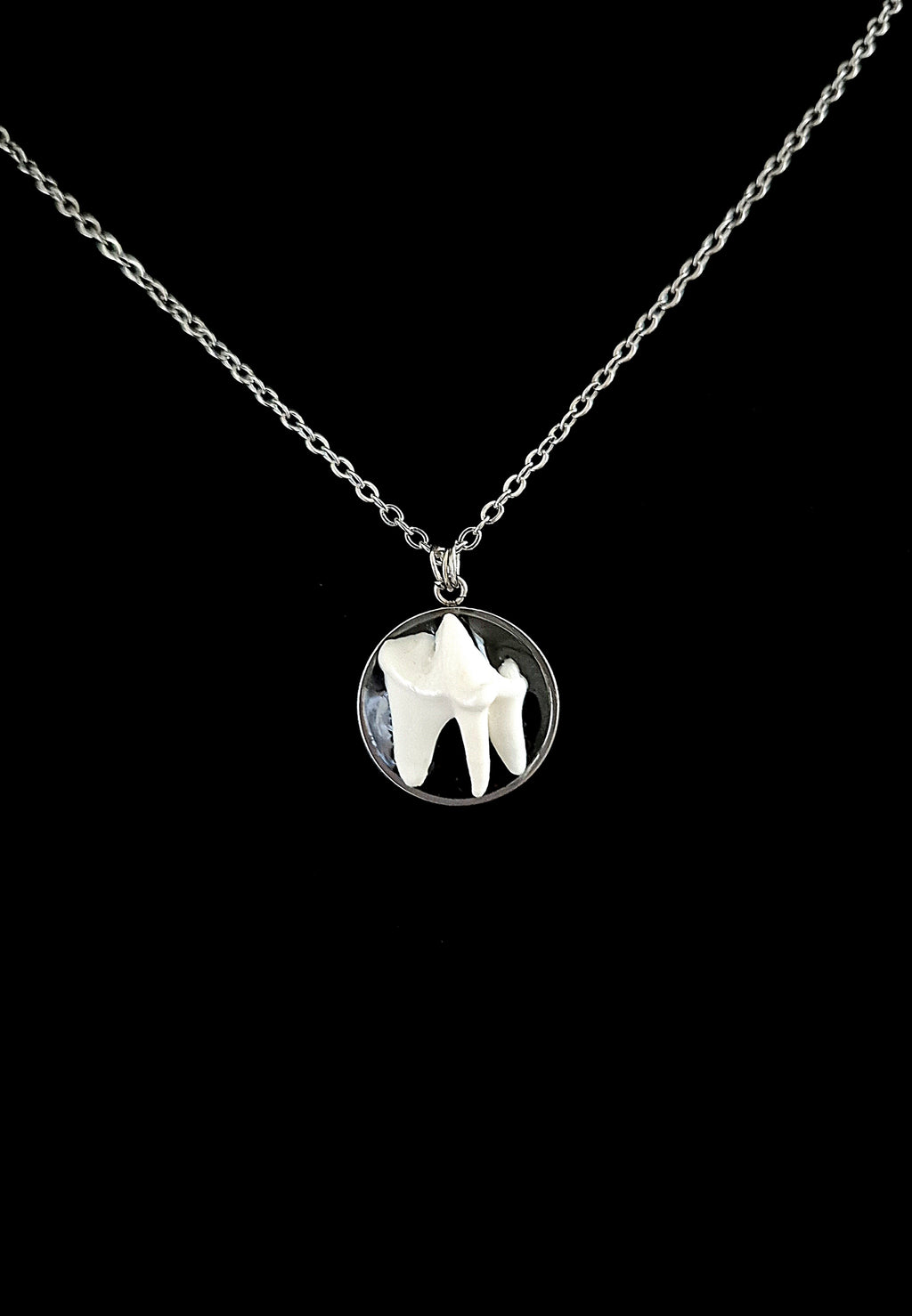 VULPIS - Fox Tooth Necklace