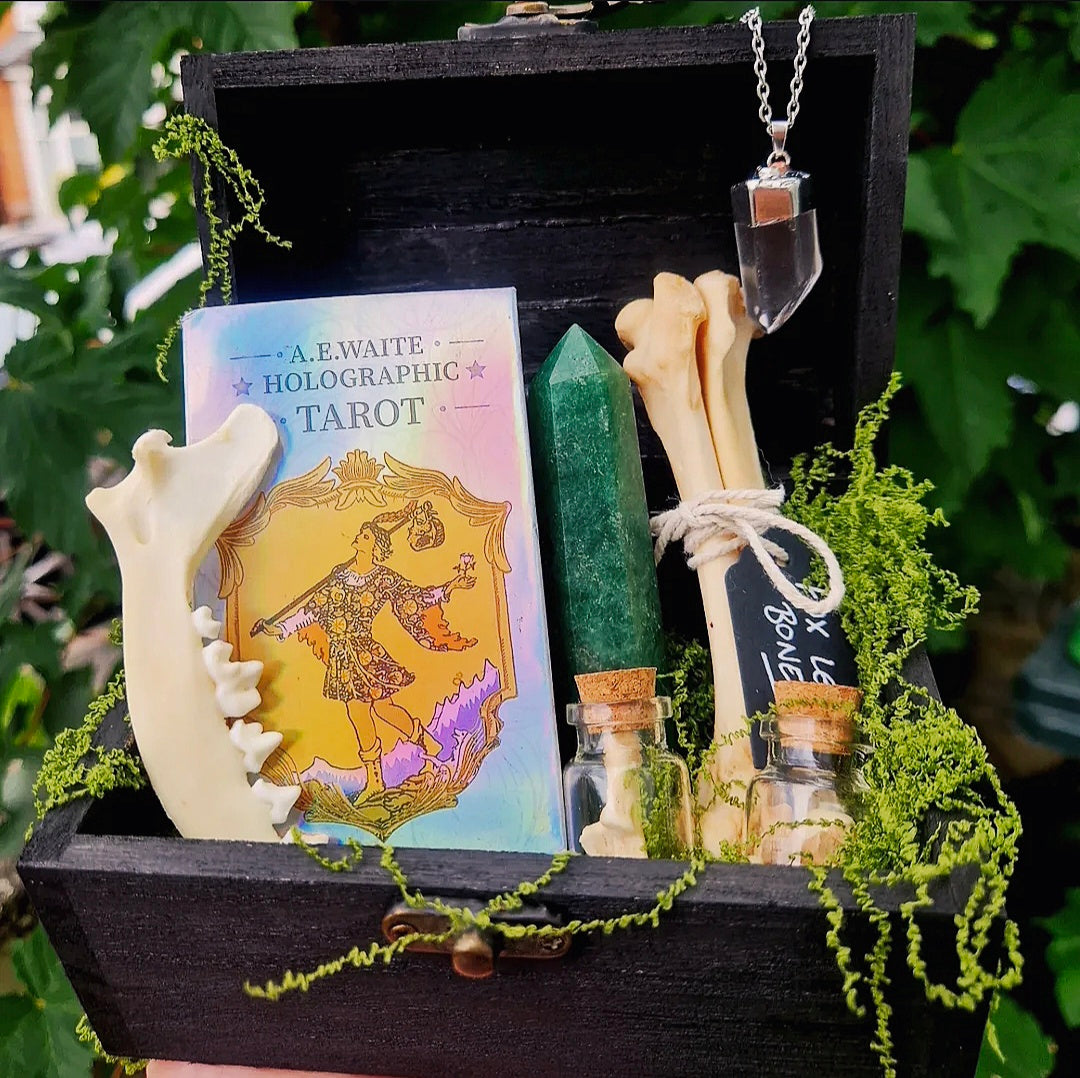 ODDITY MYSTERY CHEST - Bones, Teeth, Crystals, Tarot Etc.