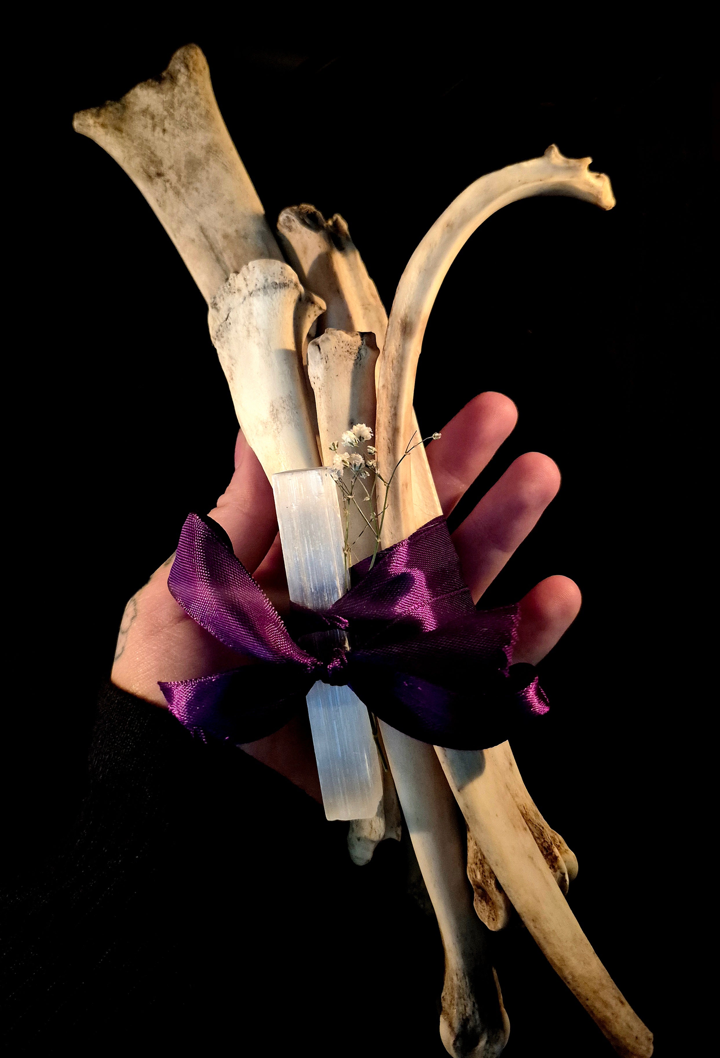 MAGIA OSSIUM - Large Osteomancy Bone Bundles, Divination Tools for Bone Throwing