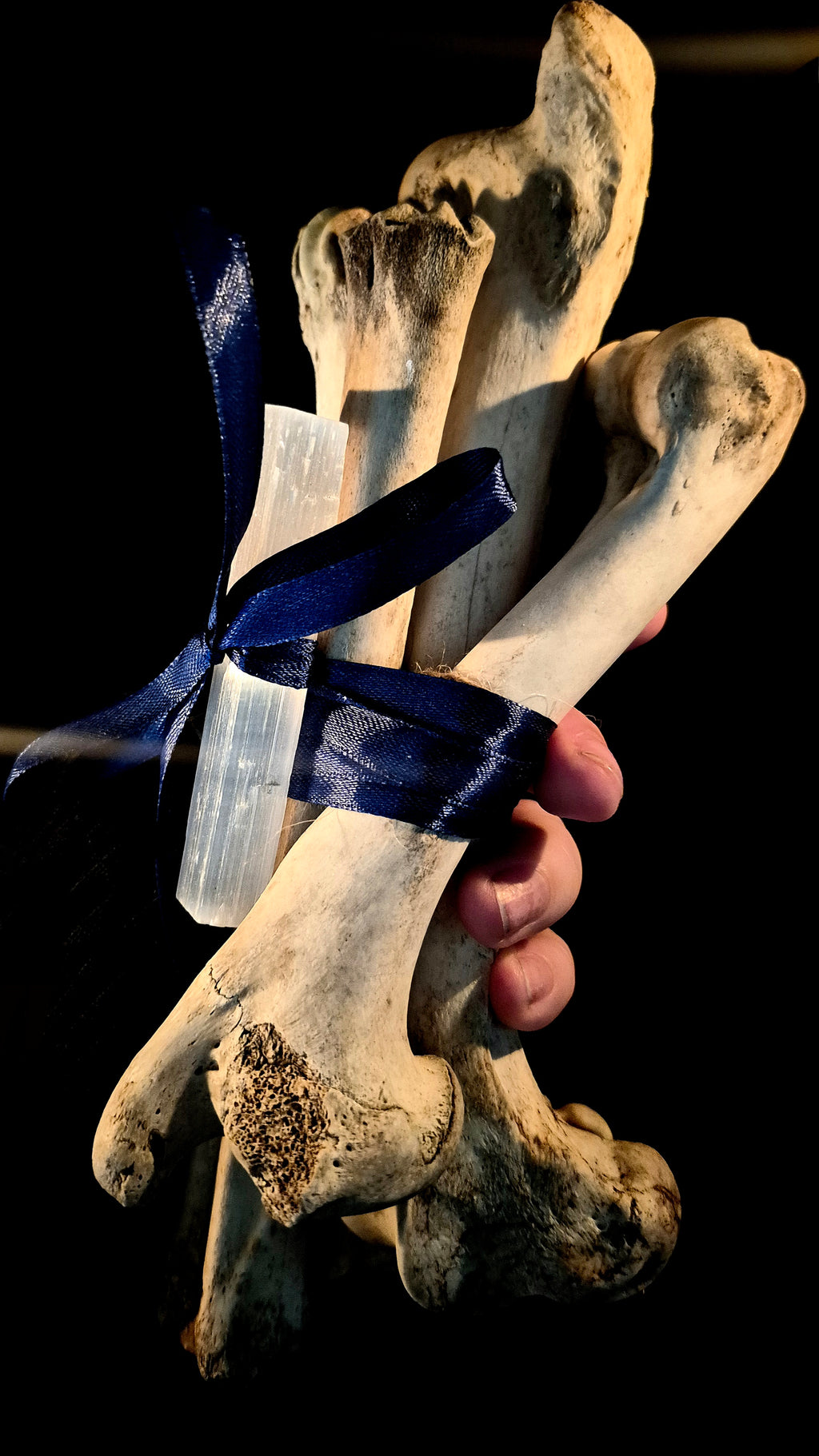 MAGIA OSSIUM - Large Osteomancy Bone Bundles, Divination Tools for Bone Throwing