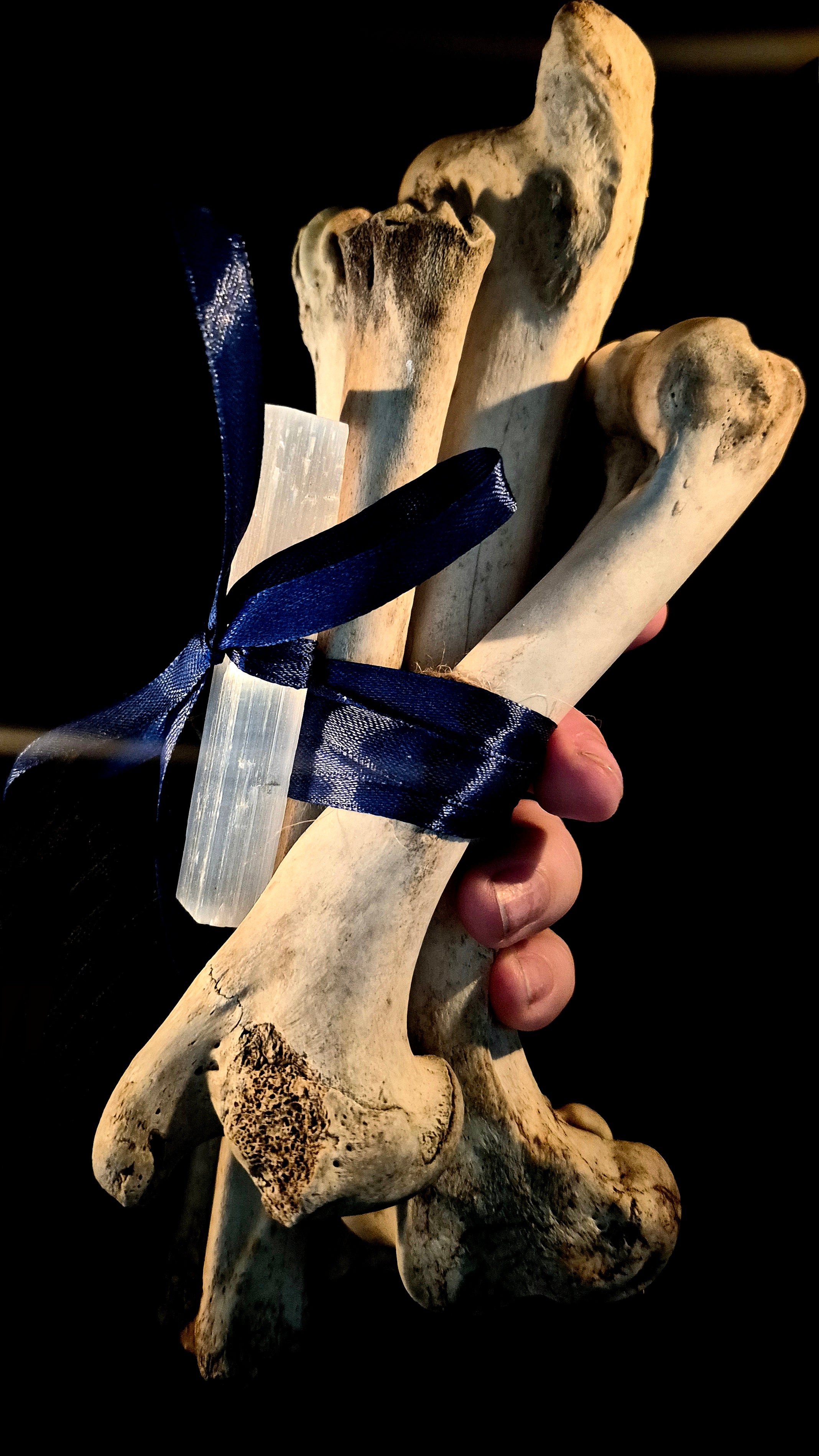 MAGIA OSSIUM - Large Osteomancy Bone Bundles, Divination Tools for Bone Throwing