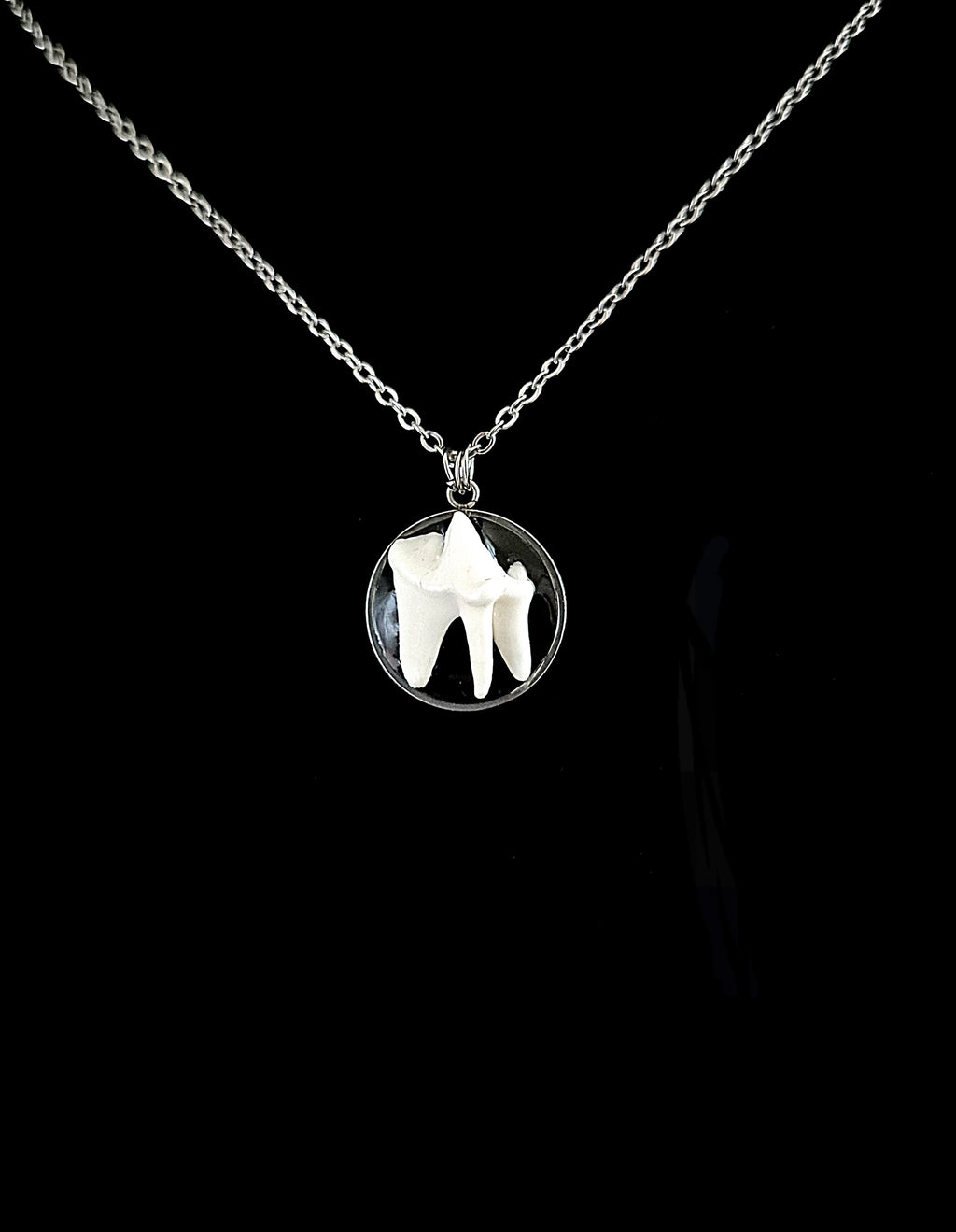 VULPIS - Fox Tooth Necklace