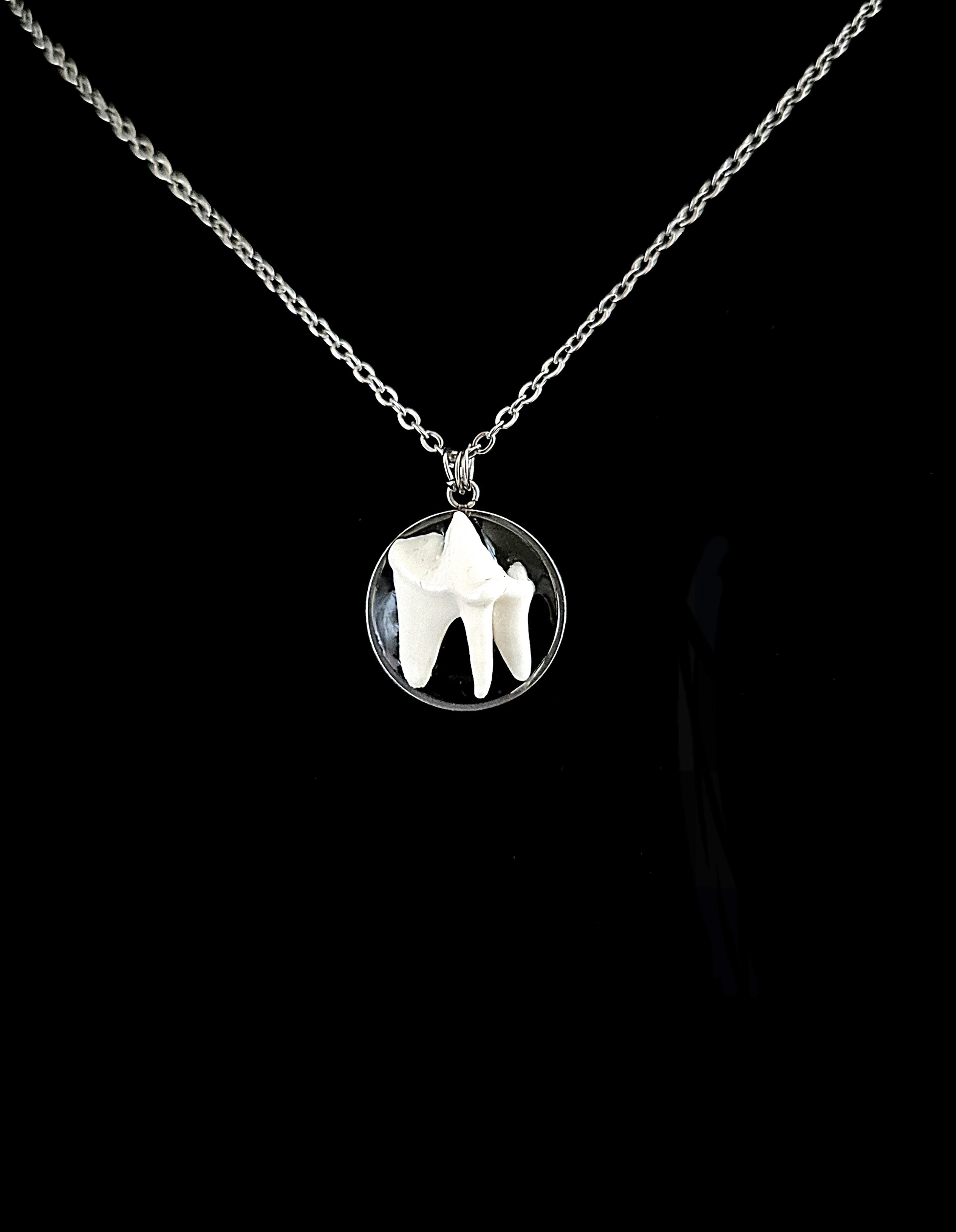 VULPIS - Fox Tooth Necklace