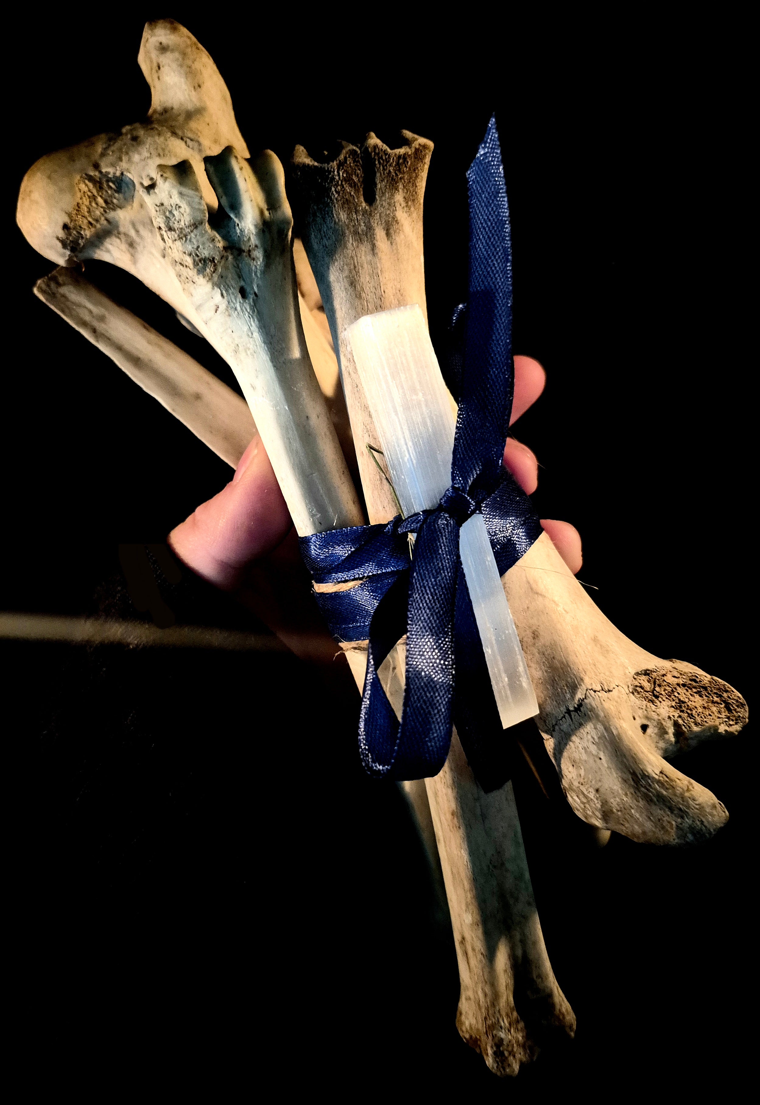 MAGIA OSSIUM - Large Osteomancy Bone Bundles, Divination Tools for Bone Throwing